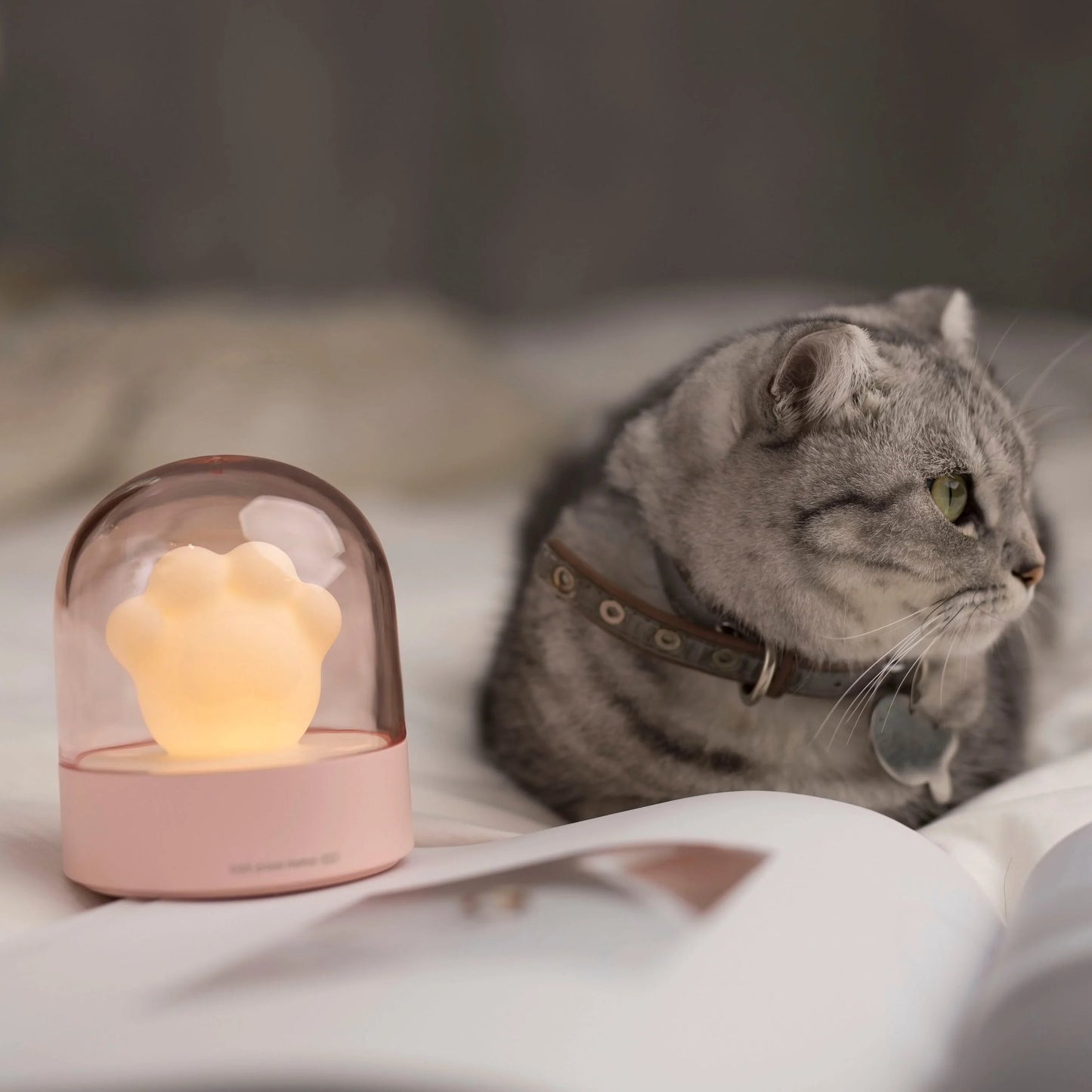 Cat Paw LED Night Light