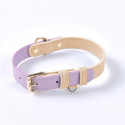 Beautiful Pastel Vegan Leather Dog Collar Collar: Purple