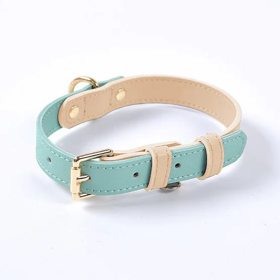 Beautiful Pastel Vegan Leather Dog Collar Collar: Mint green