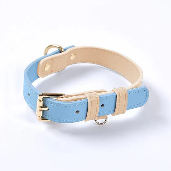 Beautiful Pastel Vegan Leather Dog Collar Collar: Sky Blue