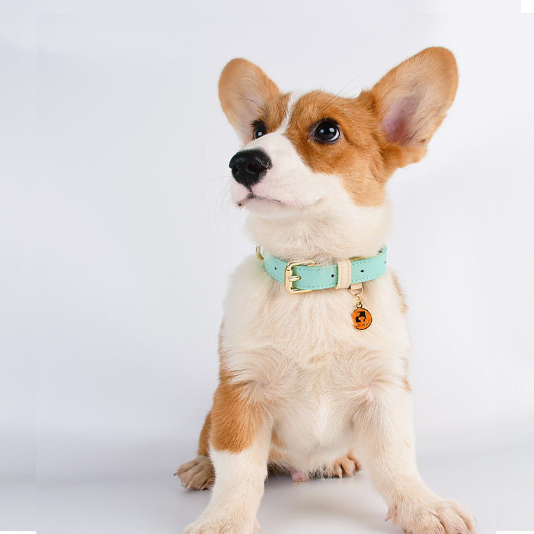 Beautiful Pastel Vegan Leather Dog Collar