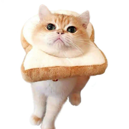 In-Bread Pet Recovery Collar
